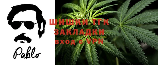 сатива Гусь-Хрустальный