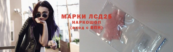 сатива Гусь-Хрустальный