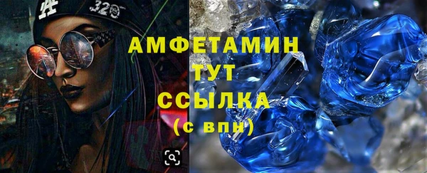 сатива Гусь-Хрустальный