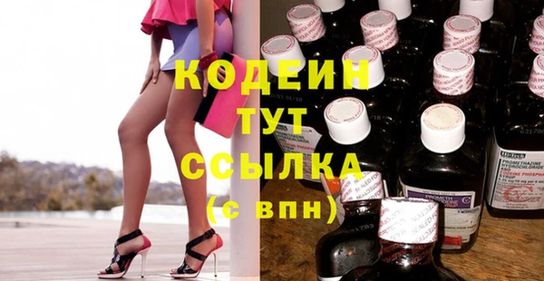 сатива Гусь-Хрустальный