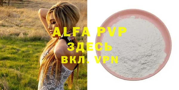 сатива Гусь-Хрустальный
