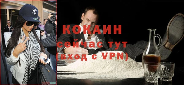 сатива Гусь-Хрустальный